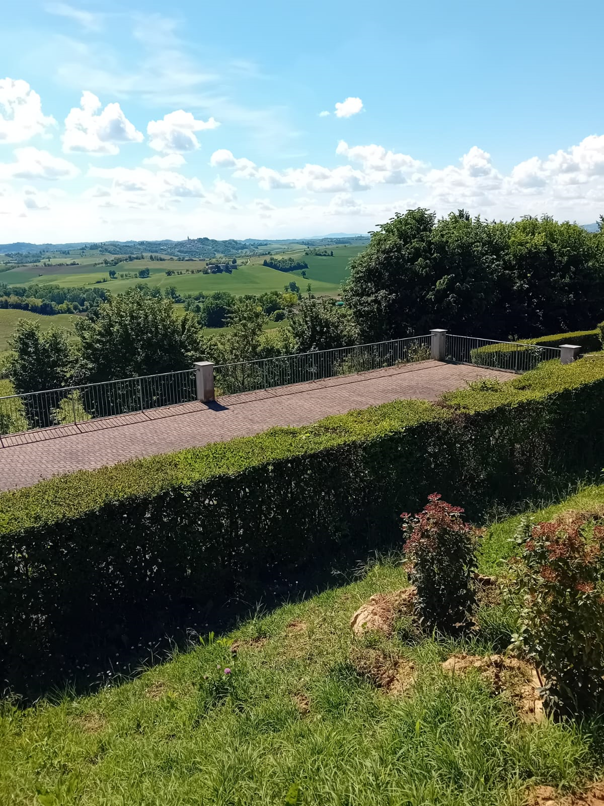 Terrazza_pzza_Vignaioli
